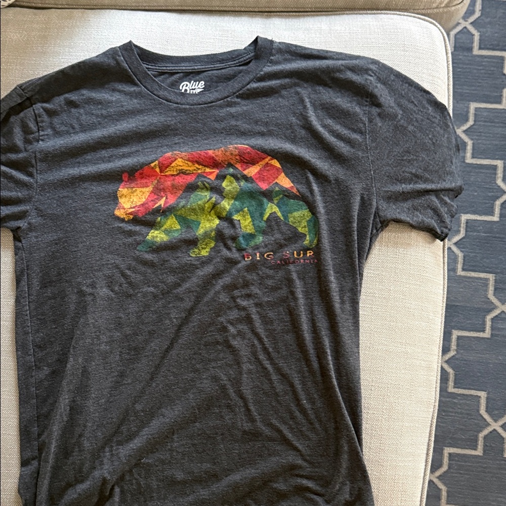 Blue 84 charcoal-Sleeve Tee with California Bear Graphic and Big Sur logo.